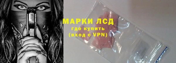 молекула духа Арсеньев