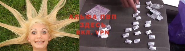 молекула духа Арсеньев
