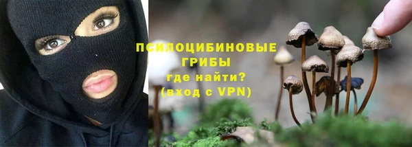 молекула духа Арсеньев