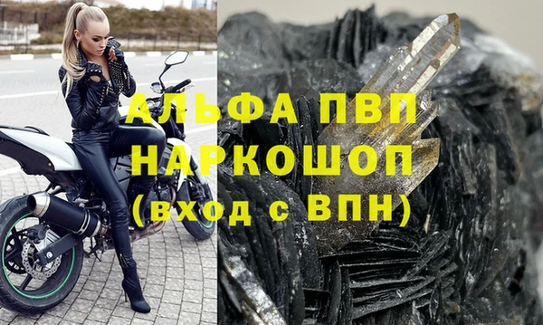 молекула духа Арсеньев