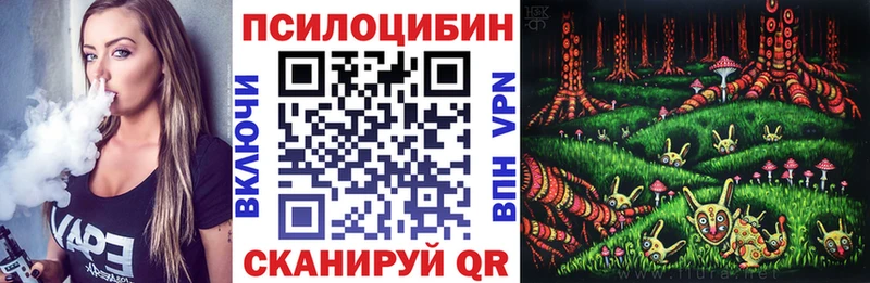 Купить  Наро-Фоминск  Псилоцибиновые грибы мицелий 